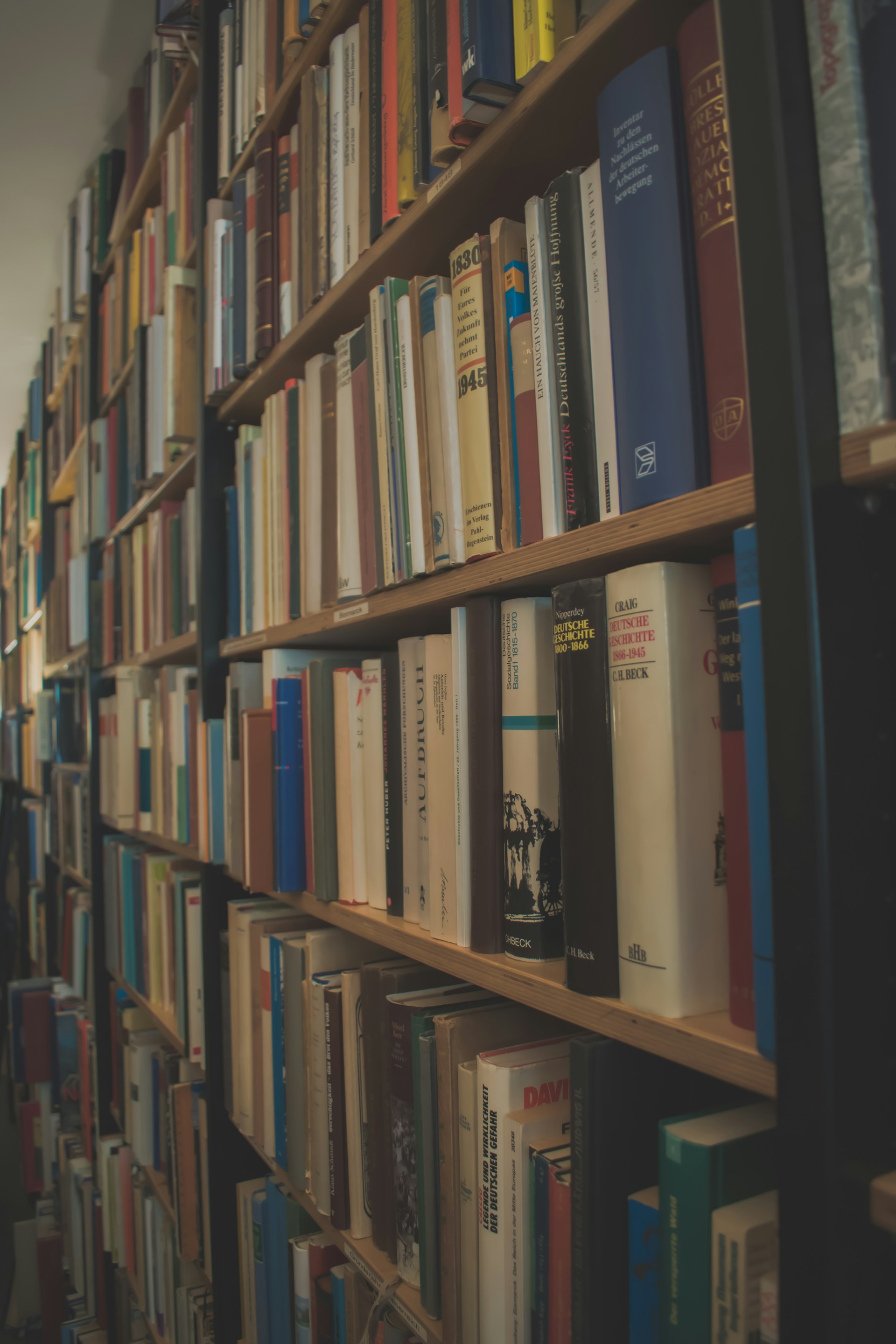 Biblioteca Social
